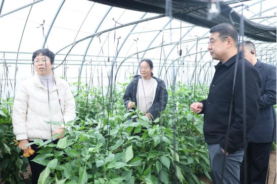 九州酷游(酷游·ku游)官方网站